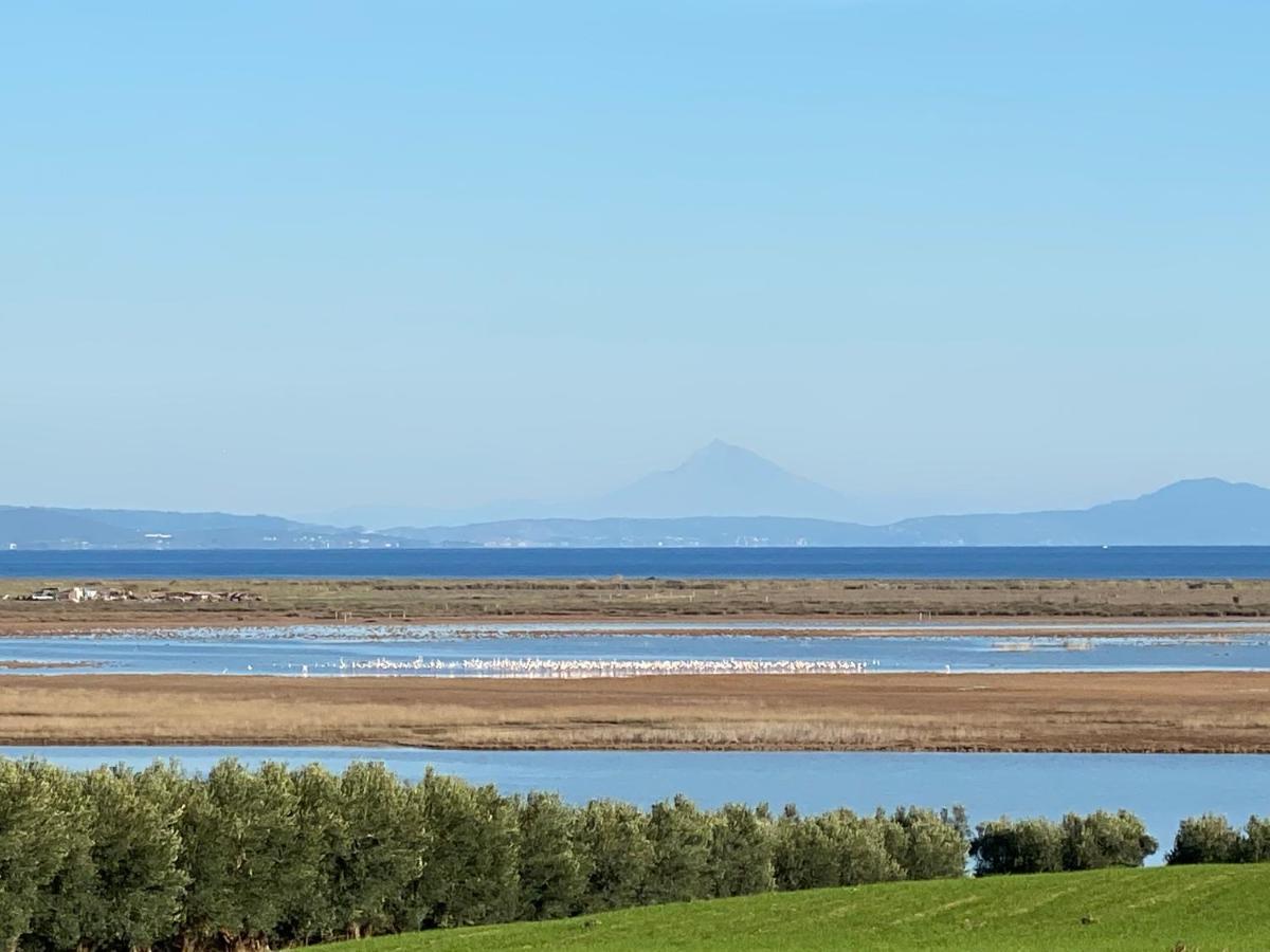 Villa Olymp Nea Poteidaia Buitenkant foto