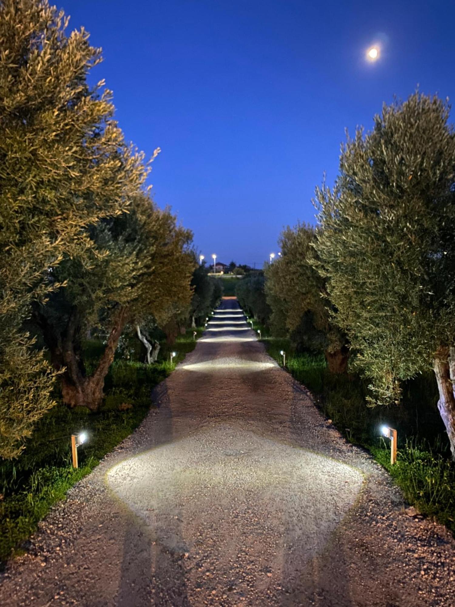 Villa Olymp Nea Poteidaia Buitenkant foto